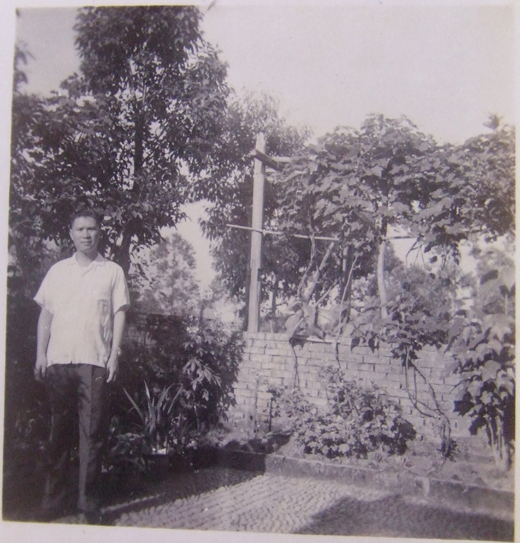 馬祖新村的老院子：瓜棚果樹與矮牆